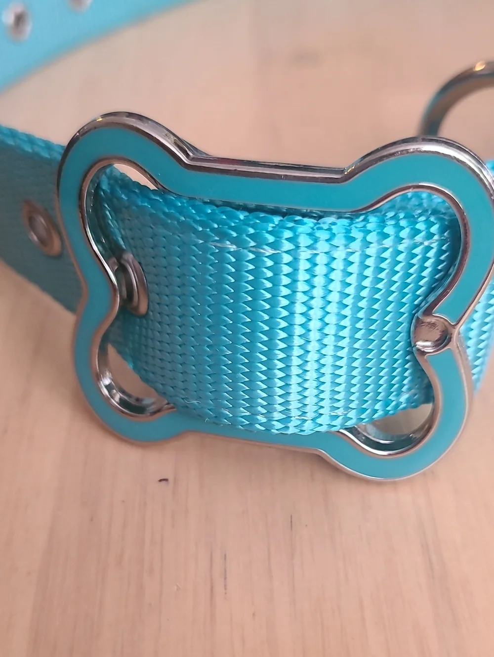 Turquoise & Yellow Striped Dog Collar